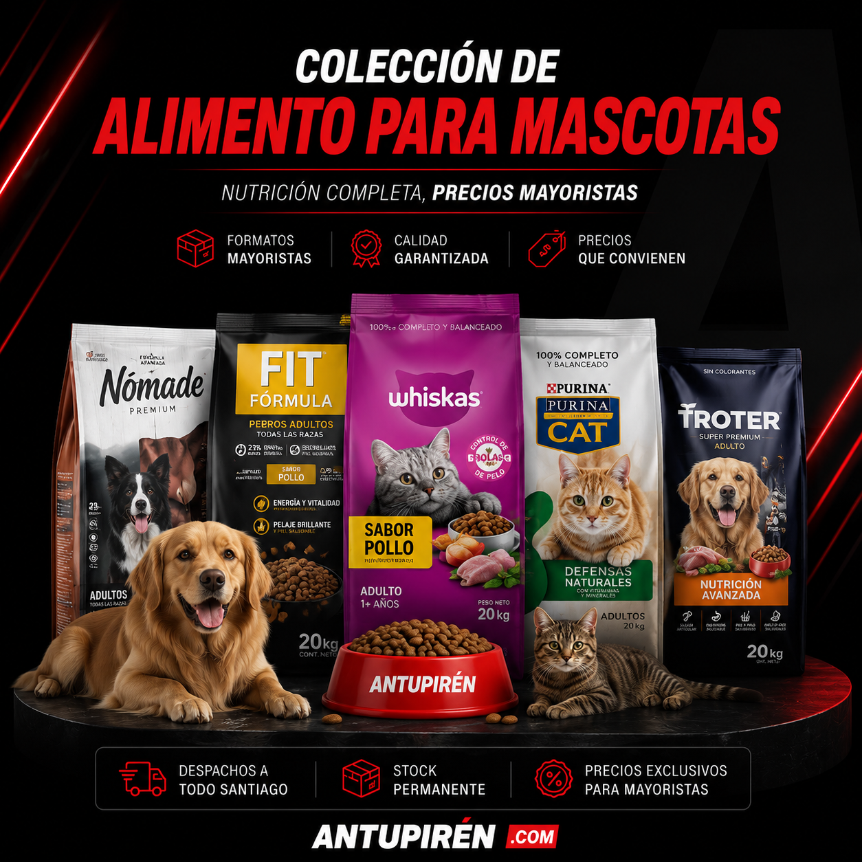 Alimento Mascotas