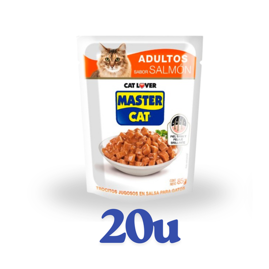 Pack 20 unidades sachet 85g Master Cat $699 c/u