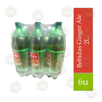 Bebida Fruna 2L. Ginger Ale X6 Display $3.900